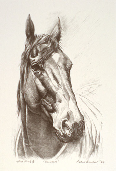 Artist: b'Barlow, Peter.' | Title: b'Manikato' | Date: 1986 | Technique: b'lithograph, printed in black ink, from one stone' Artist: b'Barlow, Peter.' | Title: b'Manikato' | Date: 1986 | Technique: b'lithograph, printed in black ink, from one stone'