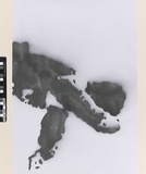 Artist: b'Azlan.' | Title: b'The west is best III.' | Date: 2003 | Technique: b'stencil, printed in balck ink, from one stencil'
