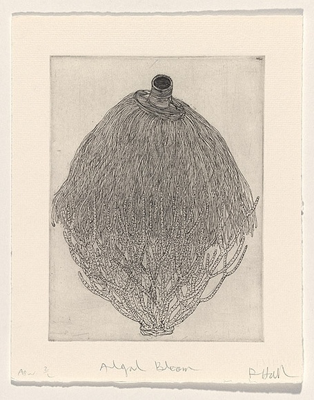 Artist: b'HALL, Fiona' | Title: b'Algal bloom' | Date: 1999, October | Technique: b'etching, printed in black ink, from one plate' | Copyright: b'\xc2\xa9 Fiona Hall' Artist: b'HALL, Fiona' | Title: b'Algal bloom' | Date: 1999, October | Technique: b'etching, printed in black ink, from one plate' | Copyright: b'\xc2\xa9 Fiona Hall'