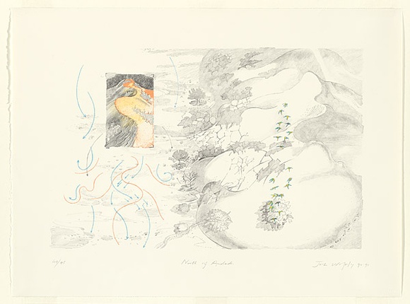 Artist: b'Wolseley, John.' | Title: b'North of Andado' | Date: 1992-93 | Technique: b'lithograph, printed in colour, from five plates' | Copyright: b'\xc2\xa9 John Wolseley. Licensed by VISCOPY, Australia' Artist: b'Wolseley, John.' | Title: b'North of Andado' | Date: 1992-93 | Technique: b'lithograph, printed in colour, from five plates' | Copyright: b'\xc2\xa9 John Wolseley. Licensed by VISCOPY, Australia'