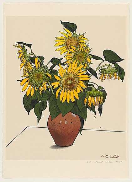 Artist: b'Rose, David.' | Title: b'Sunflower study for Vincent' | Date: 1991 | Technique: b'screenprint, printed in colour, from multiple stencils' Artist: b'Rose, David.' | Title: b'Sunflower study for Vincent' | Date: 1991 | Technique: b'screenprint, printed in colour, from multiple stencils'