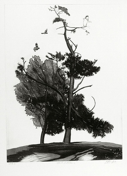 Artist: b'GRIFFITH, Pamela' | Title: b'Black cockatoos' | Date: 1981 | Technique: b'etching, aquatint, burnishing printed in black ink, from one zinc plate' | Copyright: b'\xc2\xa9 Pamela Griffith' Artist: b'GRIFFITH, Pamela' | Title: b'Black cockatoos' | Date: 1981 | Technique: b'etching, aquatint, burnishing printed in black ink, from one zinc plate' | Copyright: b'\xc2\xa9 Pamela Griffith'