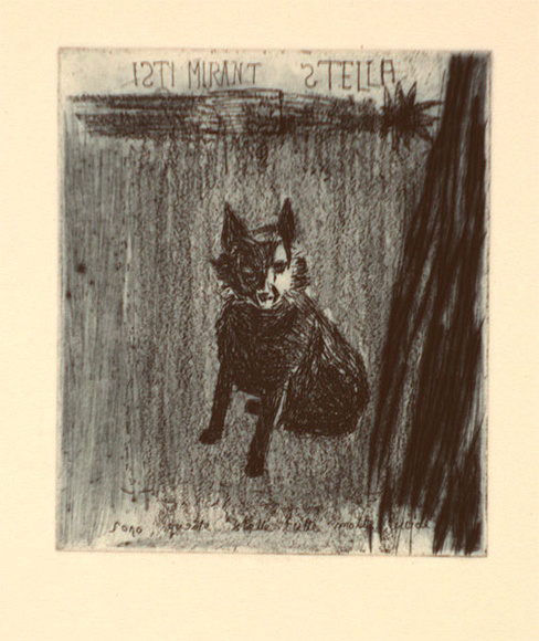 Artist: b'Crawford, Marian.' | Title: b'Little Skipper' | Date: 1991 | Technique: b'etching, printed in dark blue ink, from one plate' Artist: b'Crawford, Marian.' | Title: b'Little Skipper' | Date: 1991 | Technique: b'etching, printed in dark blue ink, from one plate'