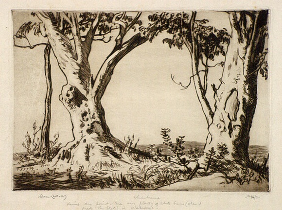 Artist: b'LINDSAY, Lionel' | Title: b'White gums' | Date: 1937 | Technique: b'drypoint, printed in brown ink with plate-tone, from one plate' | Copyright: b'Courtesy of the National Library of Australia' Artist: b'LINDSAY, Lionel' | Title: b'White gums' | Date: 1937 | Technique: b'drypoint, printed in brown ink with plate-tone, from one plate' | Copyright: b'Courtesy of the National Library of Australia'