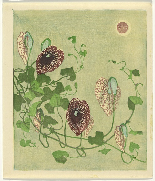 Artist: b'Allport, C.L.' | Title: b(The Dutchman's pipe, Queensland). | Date: c.1928 | Technique: b'linocut, printed in colour, from multiple blocks' Artist: b'Allport, C.L.' | Title: b(The Dutchman's pipe, Queensland). | Date: c.1928 | Technique: b'linocut, printed in colour, from multiple blocks'