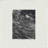 Artist: b'JAMES, C' | Title: b'Unknown bird series' | Date: 1988 | Technique: b'woodblock, printed in black ink, from one black ink'