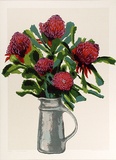 Artist: Coburn, Barbara. | Title: Waratahs. | Date: 1980 | Technique: screenprint, printed in colour, from 10 stencils