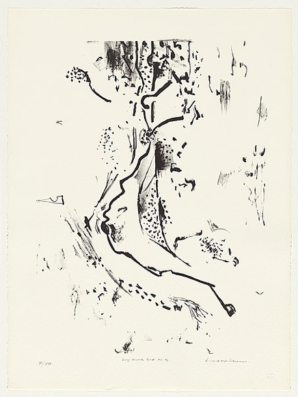 Artist: b'WILLIAMS, Fred' | Title: b'Dry creek bed, Werribee Gorge' | Date: 1977-78 | Technique: b'lithograph, printed in black ink, from one zinc plate' | Copyright: b'\xc2\xa9 Fred Williams Estate' Artist: b'WILLIAMS, Fred' | Title: b'Dry creek bed, Werribee Gorge' | Date: 1977-78 | Technique: b'lithograph, printed in black ink, from one zinc plate' | Copyright: b'\xc2\xa9 Fred Williams Estate'
