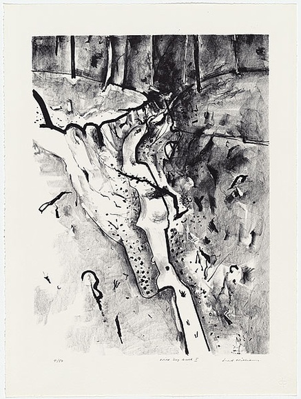 Artist: b'WILLIAMS, Fred' | Title: b'Wild Dog Creek I' | Date: 1977-78 | Technique: b'lithograph, printed in black ink, from one plate' | Copyright: b'\xc2\xa9 Fred Williams Estate' Artist: b'WILLIAMS, Fred' | Title: b'Wild Dog Creek I' | Date: 1977-78 | Technique: b'lithograph, printed in black ink, from one plate' | Copyright: b'\xc2\xa9 Fred Williams Estate'