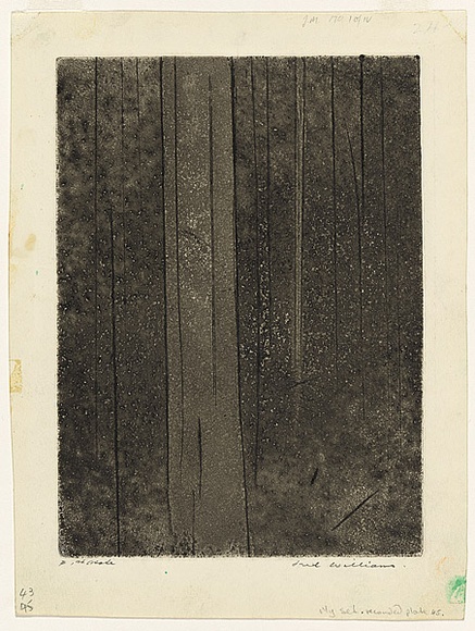 Artist: b'WILLIAMS, Fred' | Title: b'Forest' | Date: 1958 | Technique: b'etching, aquatint, engraaving, printed in black ink, from one copper plate; touced with pencil' | Copyright: b'\xc2\xa9 Fred Williams Estate' Artist: b'WILLIAMS, Fred' | Title: b'Forest' | Date: 1958 | Technique: b'etching, aquatint, engraaving, printed in black ink, from one copper plate; touced with pencil' | Copyright: b'\xc2\xa9 Fred Williams Estate'