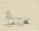 Title: Canning Downs | Date: c.1853 | Technique: lithograph, printed in black ink, from one stone