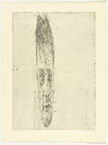 Artist: b'PARR, Mike' | Title: b'Map 1' | Date: 1987 | Technique: b'etching and foul biting, printed in black ink, from one copper plate'