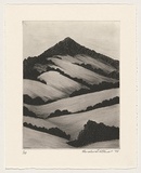 Artist: b'Atkins, Ros.' | Title: b'Still' | Date: 1999 | Technique: b'etching and engraving, printed in black ink with plate-tone, from one plate'