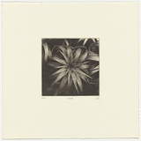 Artist: SCHMEISSER, Jorg | Title: 8. Photoetching | Date: 1984 | Technique: photo-etching, printed in black ink, from one plate | Copyright: © Jörg Schmeisser