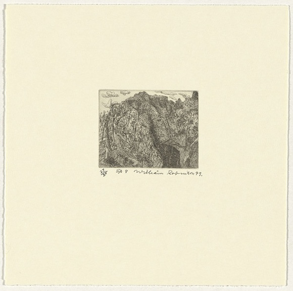 Artist: b'Robinson, William.' | Title: b'Springbrook 8' | Date: 1999 | Technique: b'etching, printed in black ink, from one plate' Artist: b'Robinson, William.' | Title: b'Springbrook 8' | Date: 1999 | Technique: b'etching, printed in black ink, from one plate'