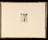 Artist: Mann, Gillian. | Title: (The yoni). | Date: 1981 | Technique: etching, printed in black ink, from one plate