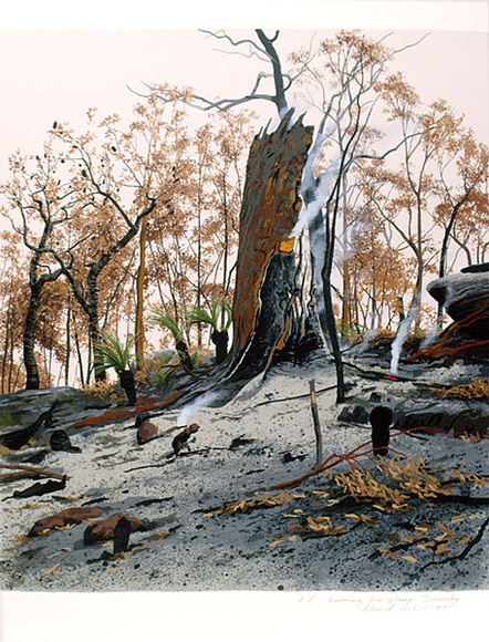 Artist: b'Rose, David.' | Title: b'Burning tree stump, Somersby' | Date: 1991 | Technique: b'screenprint, printed in colour, from multiple stencils'