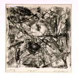 Artist: Buckley, Sue. | Title: Dragon flies. | Date: 1962 | Technique: lithograph, printed in black ink, from one stone [or plate] | Copyright: This work appears on screen courtesy of Sue Buckley and her sister Jean Hanrahan