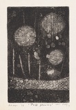 Artist: MEYER, Bill | Title: Puff flowers | Date: 1969 | Technique: etching and aquatint, printed in black ink, from one plate | Copyright: © Bill Meyer