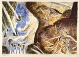 Artist: Robinson, William. | Title: Late sunlight and afternoon cloud, Beechmont | Date: 1993 | Technique: lithograph, printed in colour, from multiple stones