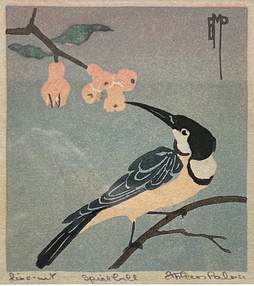 Artist: Palmer, Ethleen. | Title: Spinebill. | Date: 1930s (about) | Technique: linocut, printed in colour inks, from multiple blocks