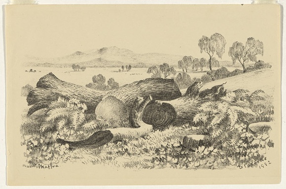 Artist: b'Parsons, Elizabeth.' | Title: b'Near Maffra' | Date: 1882 | Technique: b'lithograph, printed in black ink, from one stone' Artist: b'Parsons, Elizabeth.' | Title: b'Near Maffra' | Date: 1882 | Technique: b'lithograph, printed in black ink, from one stone'