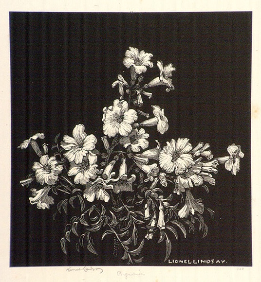 Artist: b'LINDSAY, Lionel' | Title: b'Begonias' | Date: 1925 | Technique: b'wood-engraving, printed in black ink, from one block' | Copyright: b'Courtesy of the National Library of Australia' Artist: b'LINDSAY, Lionel' | Title: b'Begonias' | Date: 1925 | Technique: b'wood-engraving, printed in black ink, from one block' | Copyright: b'Courtesy of the National Library of Australia'