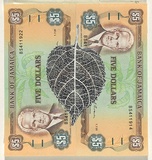 Artist: HALL, Fiona | Title: Lantana camara - Lantana (Jamaican currency) | Date: 2000 - 2002 | Technique: gouache | Copyright: © Fiona Hall