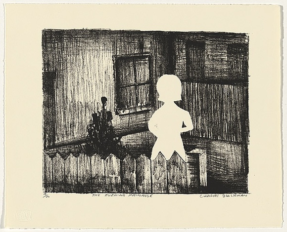 Artist: Blackman, Charles. | Title: Evening primrose. | Date: 1984 | Technique: screenprint, printed in black ink, from one stencil