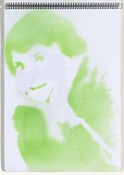 Title: Chickenpox | Date: 2003-2004 | Technique: stencil, printed with green aerosol paint, from one stencil