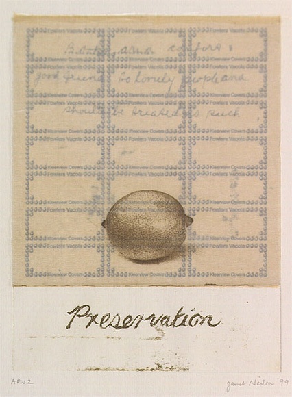 Artist: b'Neilson, Janet.' | Title: b'Preservation' | Date: 1999, February | Technique: b'etching, printed in colour, from two plates' Artist: b'Neilson, Janet.' | Title: b'Preservation' | Date: 1999, February | Technique: b'etching, printed in colour, from two plates'