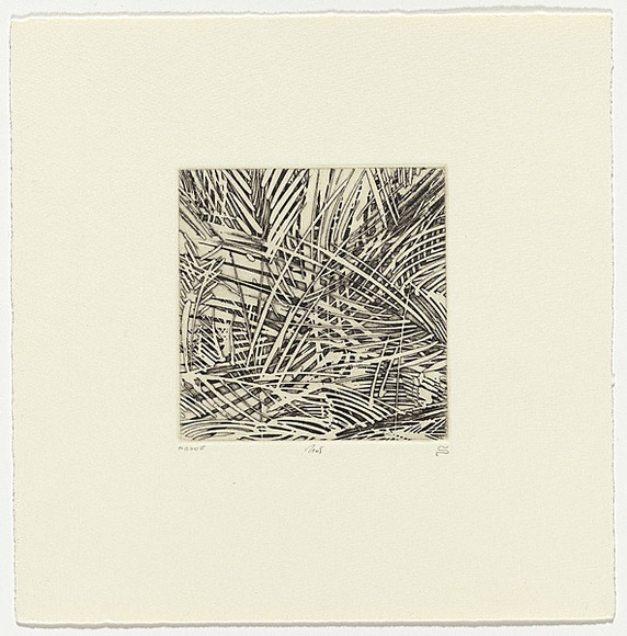 5. Relief etching (1984) by Schmeisser (19422012) · Australian