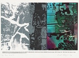 Artist: MEYER, Bill | Title: Vamm, the son of pot | Date: 1974 | Technique: screenprint, printed in colour, from multiple screens (photo indirect and hand-cut stencils) | Copyright: © Bill Meyer