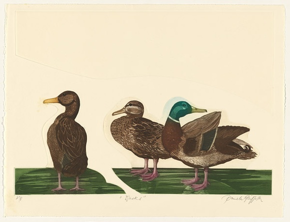 Artist: b'GRIFFITH, Pamela' | Title: b'Ducks' | Date: 1985 | Technique: b'hardground-etching and aquatint, printed in colour, from three shaped zinc plates' | Copyright: b'\xc2\xa9 Pamela Griffith' Artist: b'GRIFFITH, Pamela' | Title: b'Ducks' | Date: 1985 | Technique: b'hardground-etching and aquatint, printed in colour, from three shaped zinc plates' | Copyright: b'\xc2\xa9 Pamela Griffith'