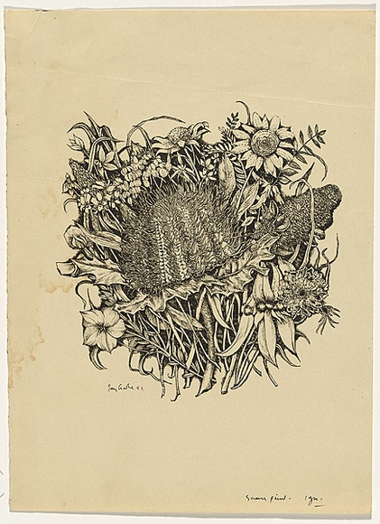 Artist: b'Crooke, Ray.' | Title: b'(Native flowers).' | Date: 1956 | Technique: b'screenprint, printed in black ink, from one screen' Artist: b'Crooke, Ray.' | Title: b'(Native flowers).' | Date: 1956 | Technique: b'screenprint, printed in black ink, from one screen'
