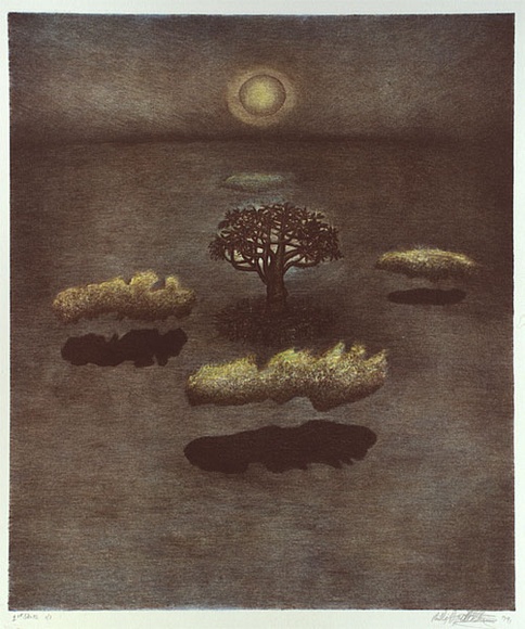 Artist: b'Doggett-Williams, Phillip.' | Title: b'Peaceful arbour' | Date: 1991 | Technique: b'lithograph, printed in colour, from multiple stones' Artist: b'Doggett-Williams, Phillip.' | Title: b'Peaceful arbour' | Date: 1991 | Technique: b'lithograph, printed in colour, from multiple stones'