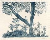Artist: b'Shearer, Mitzi.' | Title: b'not titled' | Date: 1979