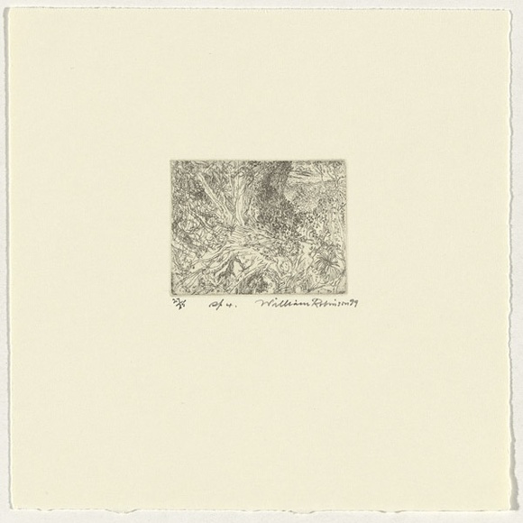Artist: b'Robinson, William.' | Title: b'Springbrook 4' | Date: 1999 | Technique: b'etching, printed in brown ink, from one plate' Artist: b'Robinson, William.' | Title: b'Springbrook 4' | Date: 1999 | Technique: b'etching, printed in brown ink, from one plate'