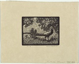 Artist: LINDSAY, Lionel | Title: The Golden Pheasant | Date: 1922 | Technique: wood-engraving, printed in black ink, from one block | Copyright: Courtesy of the National Library of Australia