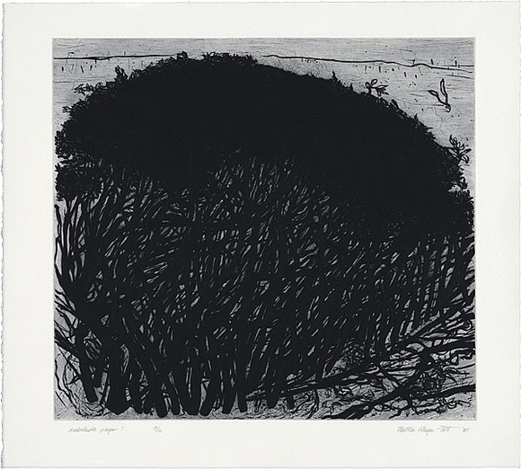 Artist: b'Kluge-Pott, Hertha.' | Title: b'Melaleuka page 1.' | Date: 2005 | Technique: b'etching and drypoint, printed in black ink with plate-tone, from one plate' Artist: b'Kluge-Pott, Hertha.' | Title: b'Melaleuka page 1.' | Date: 2005 | Technique: b'etching and drypoint, printed in black ink with plate-tone, from one plate'
