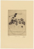 Artist: Olsen, John. | Title: Avocet and leaf | Date: 1976 | Technique: aquatint and etching, printed in black ink with plate-tone, from one plate | Copyright: © John Olsen. Licensed by VISCOPY, Australia