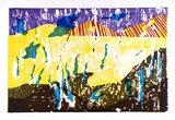 Artist: b'COLEING, Tony' | Title: b'Crow.' | Date: 1974 | Technique: b'screenprint, printed in colour, from multiple stencils'