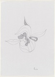 Artist: Burns, Peter. | Title: Loving nature | Date: 1986 | Technique: photocopy, printed in black ink | Copyright: © Peter Burns