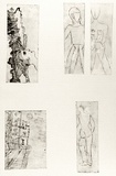 Artist: b'Shearer, Mitzi.' | Title: b'not titled [Five small pictures]' | Technique: b'etching, printed in black ink with plate-tone, from five  plates'