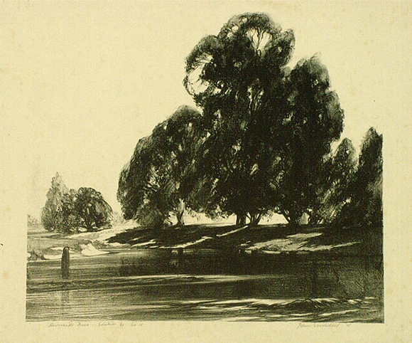 Artist: b'GOODCHILD, John' | Title: b'Riverside trees' | Date: 1926 | Technique: b'lithograph, printed in black ink, from one stone' Artist: b'GOODCHILD, John' | Title: b'Riverside trees' | Date: 1926 | Technique: b'lithograph, printed in black ink, from one stone'