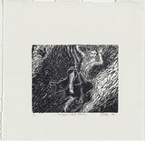 Artist: b'JAMES, C' | Title: b'Unknown bird series' | Date: 1988 | Technique: b'woodblock, printed in black ink, from one black ink'