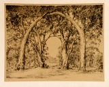 Artist: Warner, Alfred Edward. | Title: Australian gothic | Technique: lithograph, printed in black ink, from one plate