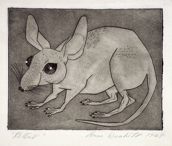 Artist: b'Wienholt, Anne.' | Title: b'Rodent' | Date: (1948) | Technique: b'line-engraving and aquatint, printed in black ink, from one copper plate' Artist: b'Wienholt, Anne.' | Title: b'Rodent' | Date: (1948) | Technique: b'line-engraving and aquatint, printed in black ink, from one copper plate'
