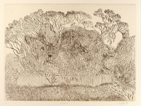 Artist: b'Zofrea, Salvatore.' | Title: b'November' | Date: 1984 | Technique: b'hardground-etching, printed in brown ink, from one zinc plate' | Copyright: b'\xc2\xa9 Salvatore Zofrea, 1984'