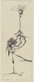 Artist: Hodgkinson, Frank. | Title: Egret I | Date: 1953 | Technique: sugar lift